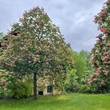 Komfortowy Dom W Lesie בית נופש Miedzichowo