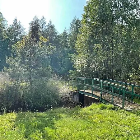 Komfortowy Dom W Lesie Miedzichowo