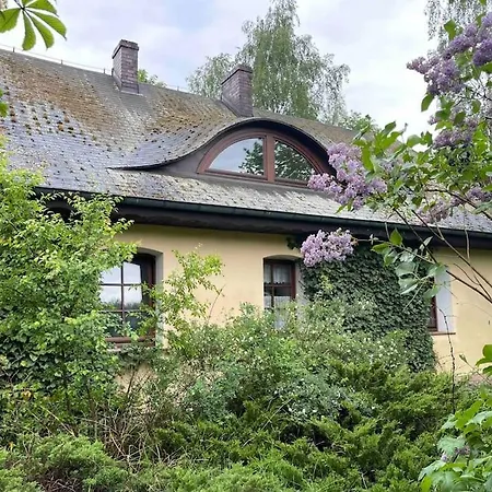 Komfortowy Dom W Lesie