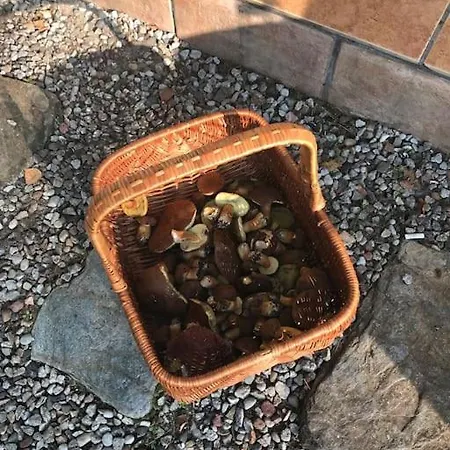 Komfortowy Dom W Lesie בית נופש *