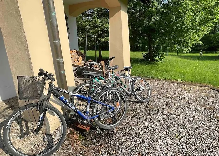 Komfortowy Dom W Lesie *