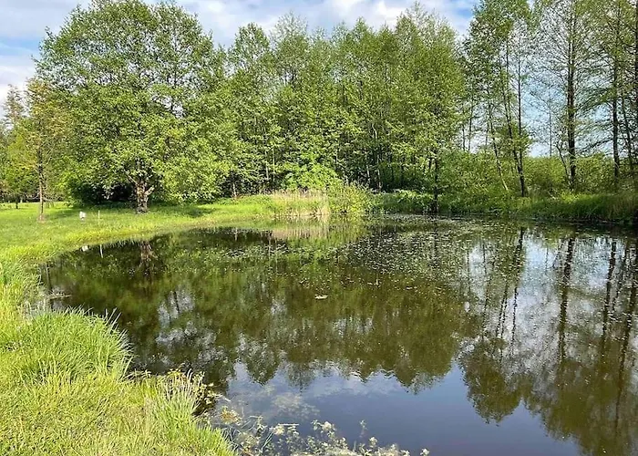 Komfortowy Dom W Lesie Miedzichowo