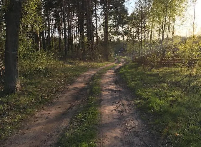 Komfortowy Dom W Lesie Casa vacanze