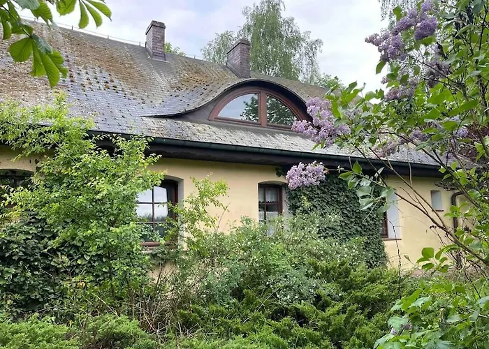 Komfortowy Dom W Lesie