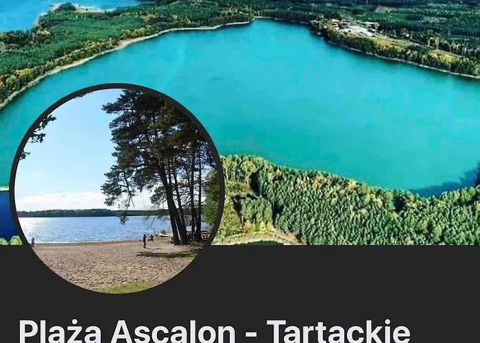 Komfortowy Dom W Lesie Casa vacanze *