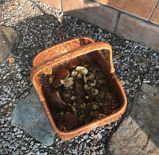 Komfortowy Dom W Lesie Nyaraló *